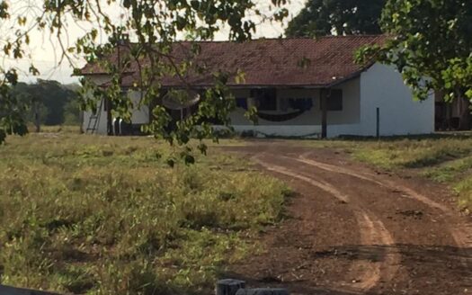 FAZENDA À VENDA EM COXIM DE 300 HECTARES