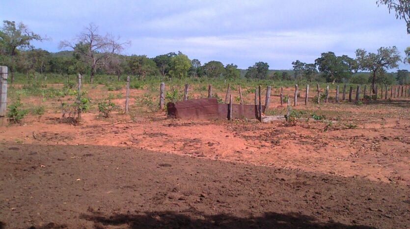 fazenda a venda norte de minas mg