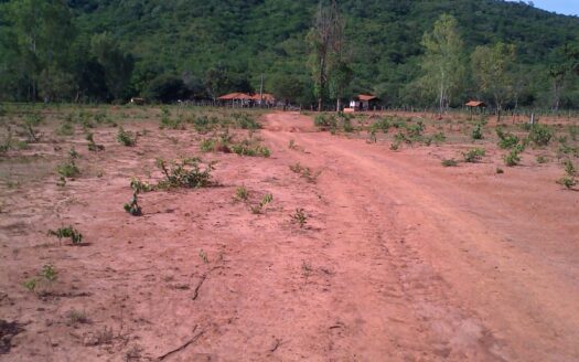FAZENDA À VENDA NORTE DE MINAS MG DE 241 HECTARES EM VÁRZEA DA PALMA