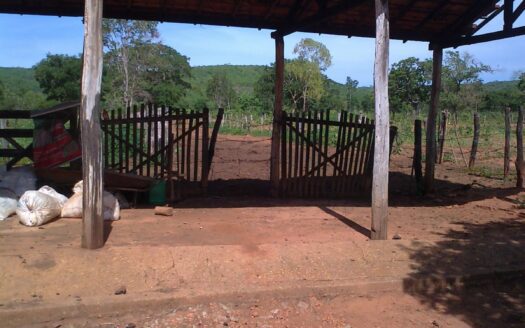 FAZENDA À VENDA NORTE DE MINAS MG DE 241 HECTARES EM VÁRZEA DA PALMA