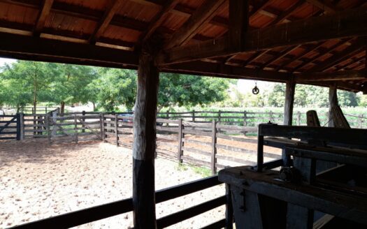 FAZENDA À VENDA EM MATO GROSSO DE PECUÁRIA COM 2.555 HECTARES – OPORTUNIDADE PARA INVESTIDOR