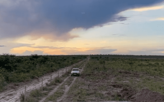 VENDA DE FAZENDA NO MATO GROSSO COM 2.500 HECTARES EM NOVA LACERDA