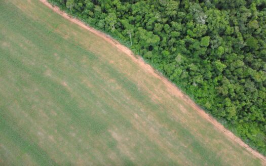 FAZENDA EM LUCAS DO RIO VERDE DE SOJA À VENDA NO MATO GROSSO