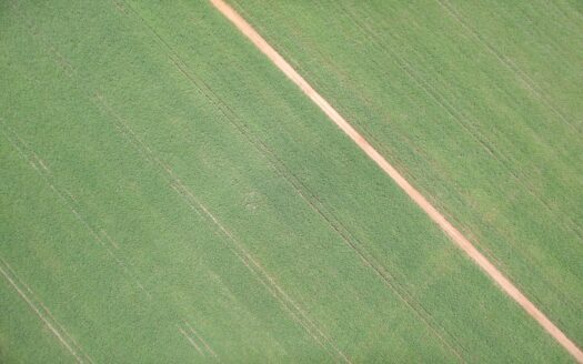 FAZENDA EM LUCAS DO RIO VERDE DE SOJA À VENDA NO MATO GROSSO