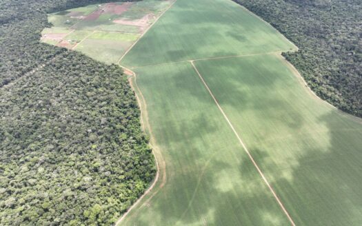 FAZENDA EM LUCAS DO RIO VERDE DE SOJA À VENDA NO MATO GROSSO