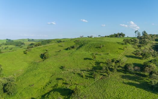 FAZENDA PARA PECUÁRIA À VENDA COM 2.046 HECTARES – GUARANIAÇU/PR