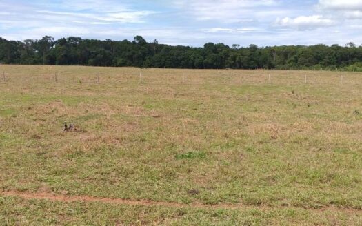 FAZENDA DE SOJA E PECUÁRIA À VENDA EM NOVO PROGRESSO, PA – 1.742 HA