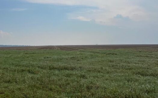 FAZENDA DE SOJA E PECUÁRIA À VENDA EM NOVO PROGRESSO, PA – 1.742 HA