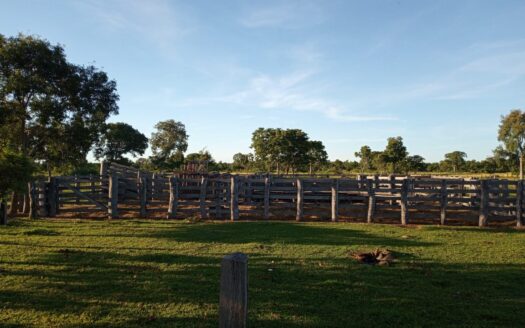 FAZENDA NO PANTANAL À VENDA EM CORUMBÁ COM 4.900 HECTARES