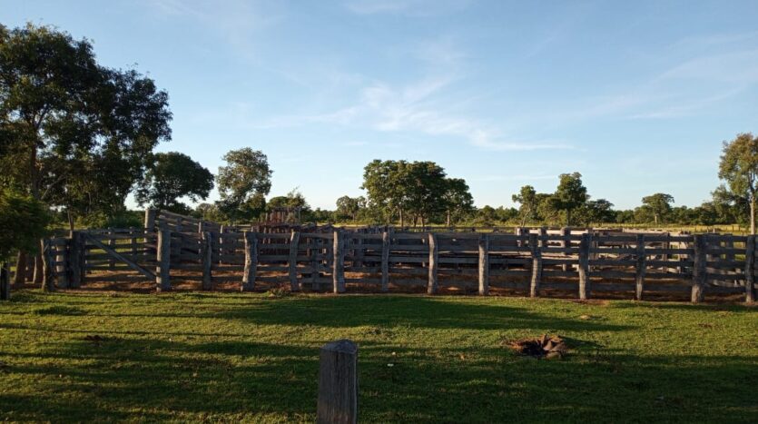 fazenda no pantanal à venda