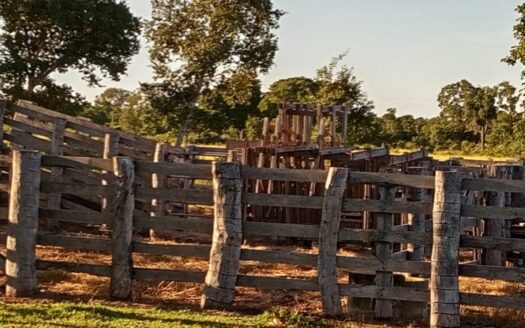 FAZENDA NO PANTANAL À VENDA EM CORUMBÁ COM 4.900 HECTARES
