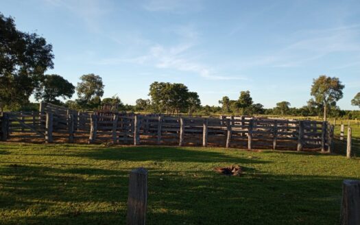 FAZENDA NO PANTANAL À VENDA EM CORUMBÁ COM 4.900 HECTARES