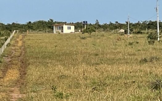 VENDA DE FAZENDA NO MATO GROSSO COM 2.500 HECTARES EM NOVA LACERDA