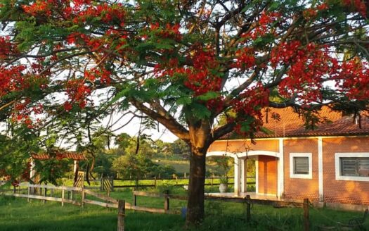 SÍTIO À VENDA EM PRESIDENTE PRUDENTE, SP COM 26 HECTARES