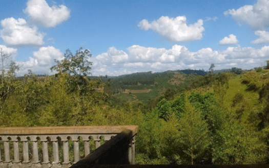 SÍTIO EM SERRA NEGRA/SP