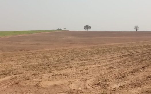FAZENDA COM 71 HA EM SÃO JOSÉ DO RIO PRETO/SP