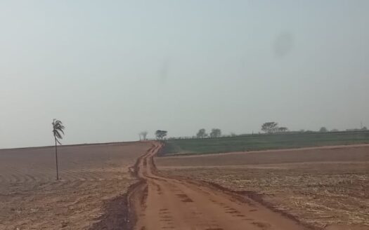 FAZENDA COM 71 HA EM SÃO JOSÉ DO RIO PRETO/SP