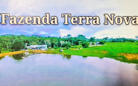 FAZENDA À VENDA EM BOCA DO ACRE AM PECUÁRIA 801 HA