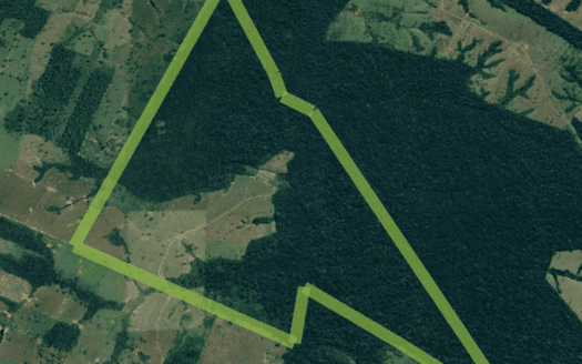 FAZENDA À VENDA EM BOCA DO ACRE AM PECUÁRIA 801 HA