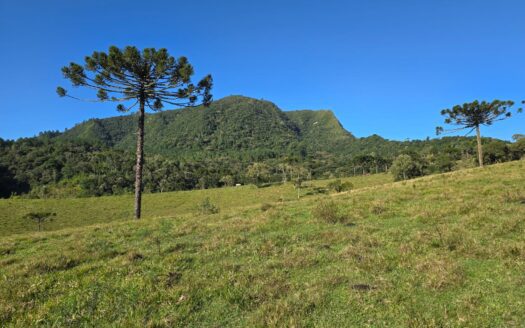 FAZENDA EM BOM RETIRO, SANTA CATARINA – 185 HA