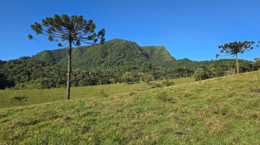 fazenda em bom retiro sc