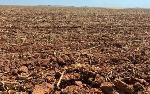 FAZENDA DE SOJA EM SAPEZAL MT 850 HA
