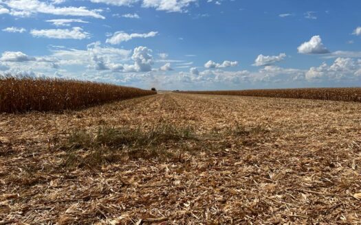 FAZENDA DE SOJA EM SAPEZAL MT 850 HA
