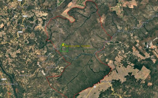 FAZENDA À VENDA EM COCOS BAHIA PARA COMPENSAÇÃO DE RESERVA LEGAL – 2700 HA