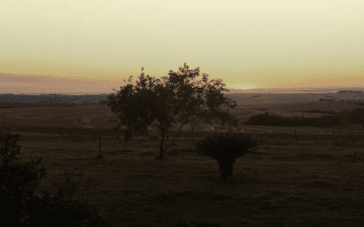 FAZENDA DE SOJA À VENDA EM PEROBAL, PARANÁ – 223 HA