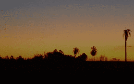FAZENDA DE SOJA À VENDA EM PEROBAL, PARANÁ – 223 HA
