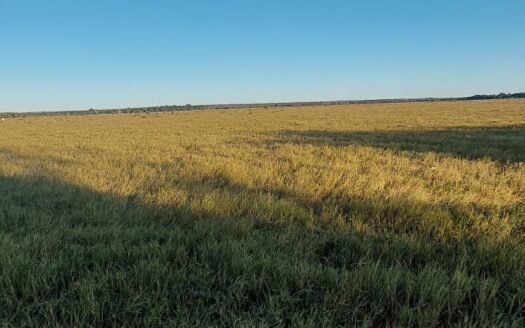 FAZENDA DE PECUÁRIA À VENDA EM FORMOSO DO ARAGUAIA, TOCANTINS – 710 HA