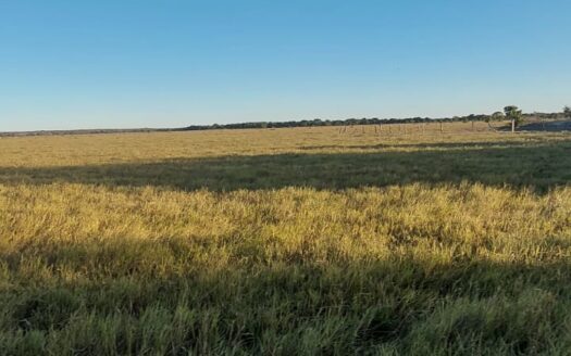FAZENDA DE PECUÁRIA À VENDA EM FORMOSO DO ARAGUAIA, TOCANTINS – 710 HA