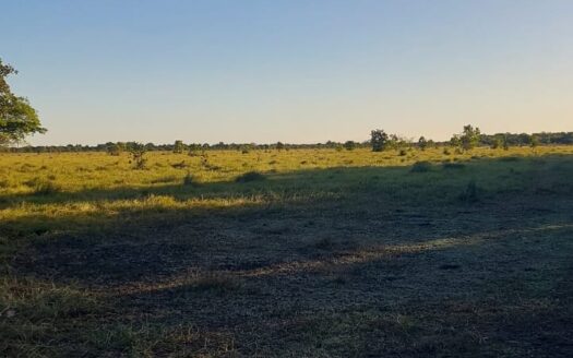 FAZENDA DE PECUÁRIA À VENDA EM FORMOSO DO ARAGUAIA, TOCANTINS – 710 HA
