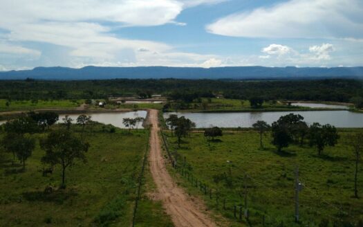 FAZENDA À VENDA EM POCONÉ MT PARA PECUÁRIA E PISCICULTURA