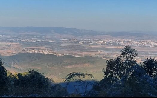 FAZENDA À VENDA EM MONTEIRO LOBATO SP COM POTENCIAL PARA SILVICULTURA E RL