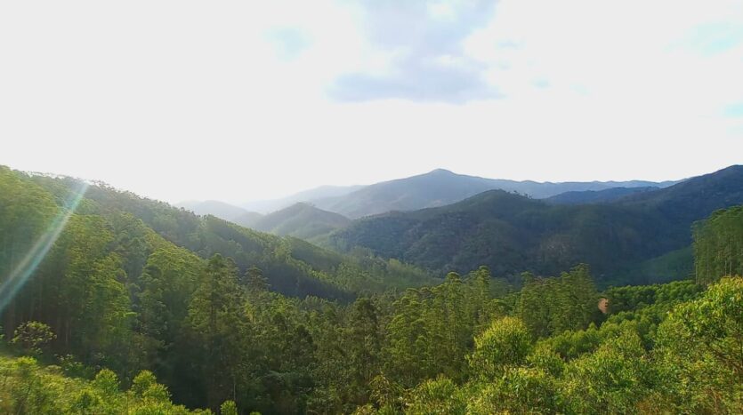 fazenda a venda em monteiro lobato sp