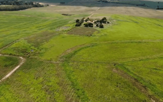 FAZENDA DE CANA E PECUÁRIA NA REGIÃO DE ARAÇATUBA E MIRANDÓPOLIS SP – 246 HA