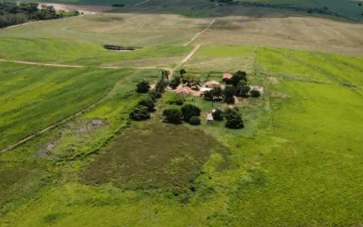 FAZENDA DE CANA E PECUÁRIA NA REGIÃO DE ARAÇATUBA E MIRANDÓPOLIS SP – 246 HA