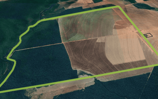 FAZENDA DE SOJA À VENDA EM GAÚCHA DO NORTE MT – 467 HA – PREÇO 50% ABAIXO DA AVALIAÇÃO