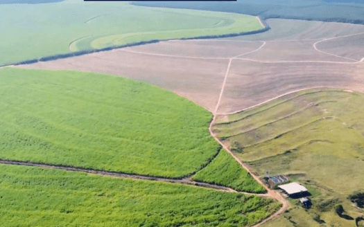 FAZENDA DE CANA À VENDA NA REGIÃO DE LENÇÓIS PAULISTA SP – 1.113 HA