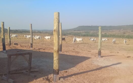 FAZENDA DE PECUÁRIA EM PEDRO GOMES MS – 187 HA NA MARGEM DA BR 163