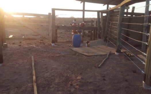 FAZENDA DE PECUÁRIA EM PEDRO GOMES MS – 187 HA NA MARGEM DA BR 163