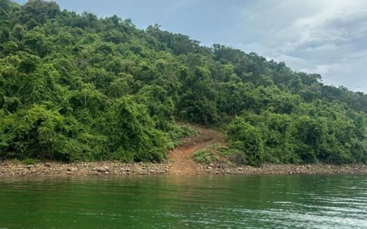 FAZENDA DE PECUÁRIA E SOJA À VENDA EM TIMBURI SP – 144 HA