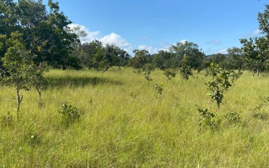 FAZENDA DE PECUÁRIA À VENDA EM TAIPAS DO TOCANTINS – 1.330 HA
