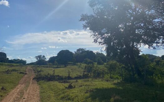 FAZENDA DE PECUÁRIA À VENDA EM TAIPAS DO TOCANTINS – 1.330 HA