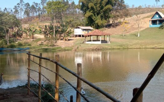 FAZENDA DE EUCALIPTO E ECOTURISMO À VENDA NA REGIÃO DE CAÇAPAVA SP – 203 HA