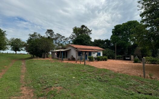 FAZENDA DE PECUÁRIA À VENDA NA REGIÃO DE PRESIDENTE EPITÁCIO E CAIUÁ SP – 312 HA