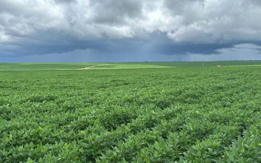 FAZENDA DE SOJA À VENDA EM LAGOA DO MATO/MA – 5.114 HA (MATOPIBA)