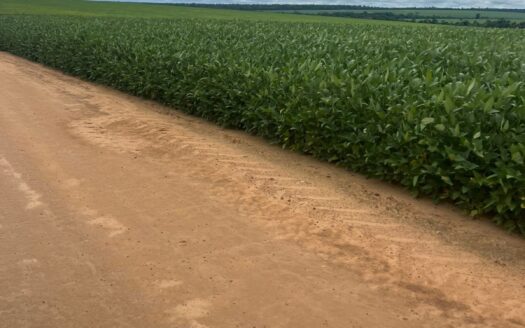 FAZENDA DE SOJA E MILHO SAFRINHA À VENDA NA REGIÃO DE QUERÊNCIA E RIBEIRÃO CASCALHEIRA MT- 874 ha