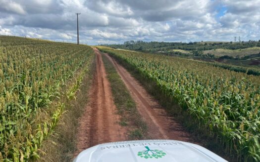 FAZENDA DE SOJA E EUCALIPTO À VENDA EM BOTUCATU SP – 580 HA